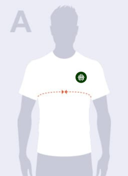 Chest Measurements